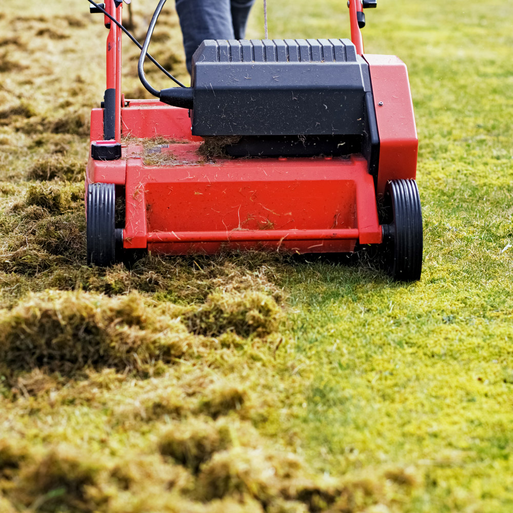 lawn being professionally scarified